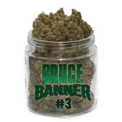 Bruce Banner Weed | Acheter Cannabis Puissant et Créatif – Weedoria