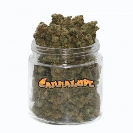 Cannalope Haze Weed | Acheter Weed Fruité et Stimulant – Weedoria