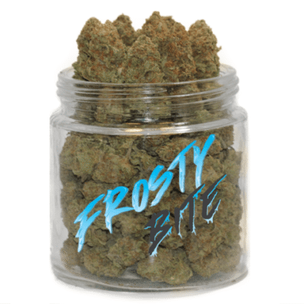 Frosty Bite Weed – Une Beuh Énergisante à 18% de THC aux Saveurs Thé et Terreuses