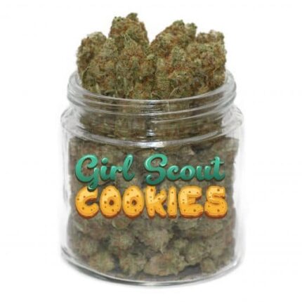 Girl Scout Cookies Weed – Une Beuh Gourmande et Relaxante à 25% de THC