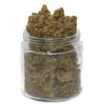 Golden Goat Weed – Une Weed Énergisante et Fruité-Citronnée à 20 % de THC
