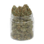 Golden Kush Weed – Une Beuh Puissante et Envoûtante à 24 % de THC