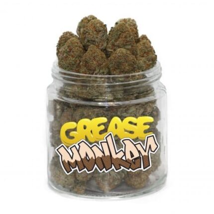 Grease Monkey Weed – Une Beuh Intense à 22% de THC pour Relaxation Profonde et Saveur Gourmande