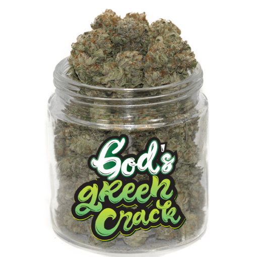 Green Crack Weed – Une Sativa Énergisante à 17 % de THC pour un Boost Mental Naturel Green Crack Weed – Une Sativa Énergisante à 17 % de THC pour un Boost Mental Naturel