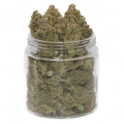 Orange Juice Weed – Cannabis fruité à 19 % THC | Énergie et bonne humeur