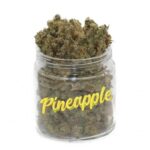 Pineapple Express Weed – Cannabis tropical 20 % THC | Achat légal en ligne