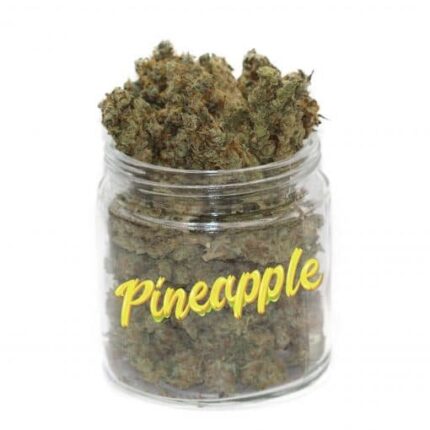 Pineapple Express Weed – Cannabis tropical 20 % THC | Achat légal en ligne