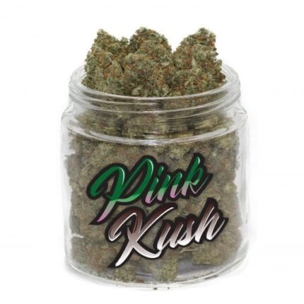 Pink Kush Weed – Cannabis relaxant 19 % THC | Acheter en ligne sur Weedoria