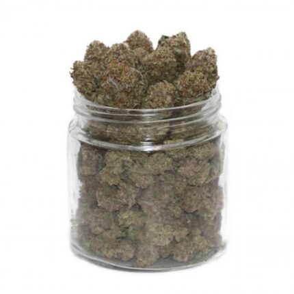 Purple Urkle Weed – Cannabis Californien 19 % THC | Beuh Relaxante | Weedoria