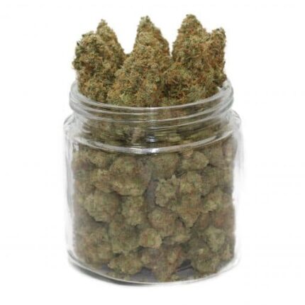 White Cheese Weed 19% – Cannabis Relaxant au Goût Fromagé | Acheter Beuh Unique