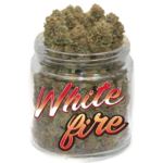 White Fire OG Weed 22% – Weed Énergisante & Terreuse | Acheter Cannabis Premium