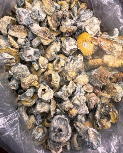 A Exotic Albinos NO SHAKE - Monsieur Cannabisbien shop