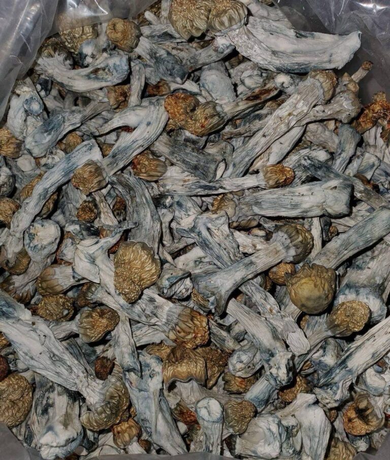 A Gold Cap Peruvians - Monsieur Cannabisbien shop