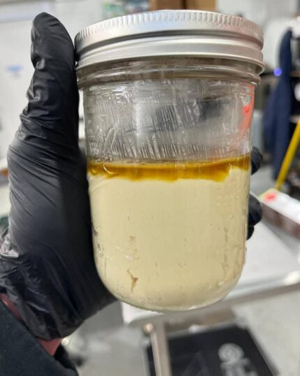 Banana Conda Live Rosin