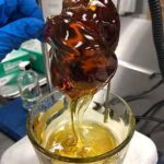 Orange Bang Concentrates Live Resin