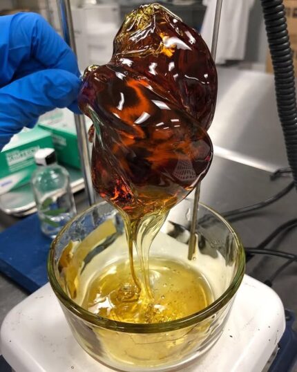 Orange Bang Concentrates Live Resin
