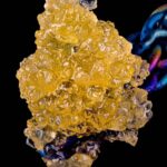 Poison Fruit Live Resin