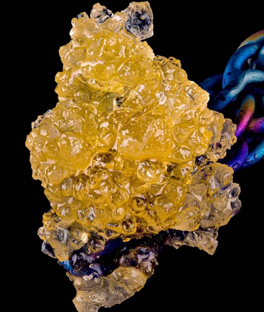 Poison Fruit Live Resin Poison Fruit Live Resin